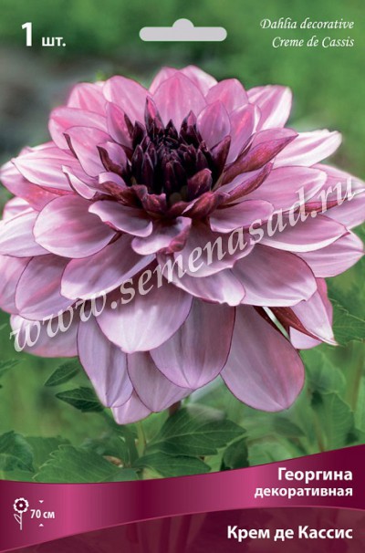 � �������! �������� - ������� ��� ������, � ��������� ��������� ������� ��� � ���������� ���������� ����.