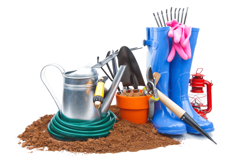 ������� ��������� � �����. ������� ���������. �������� ��� �������. ������ ��� �����������. �������� � �����