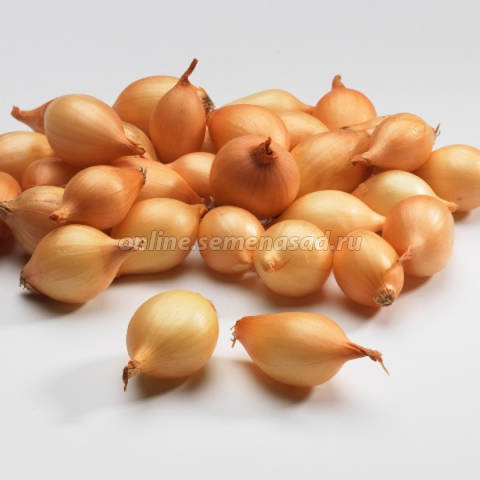 ���� ������� �� 15/03. ���-����� ����������� �����. ���� �� 87 ���!