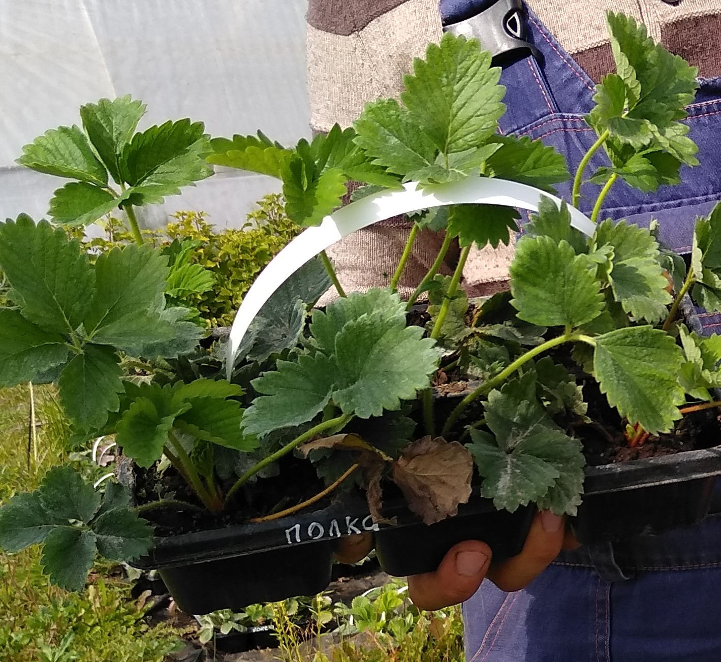 ���� �������. ��������� �� ������������ ��������� 2. (�� 03.04).