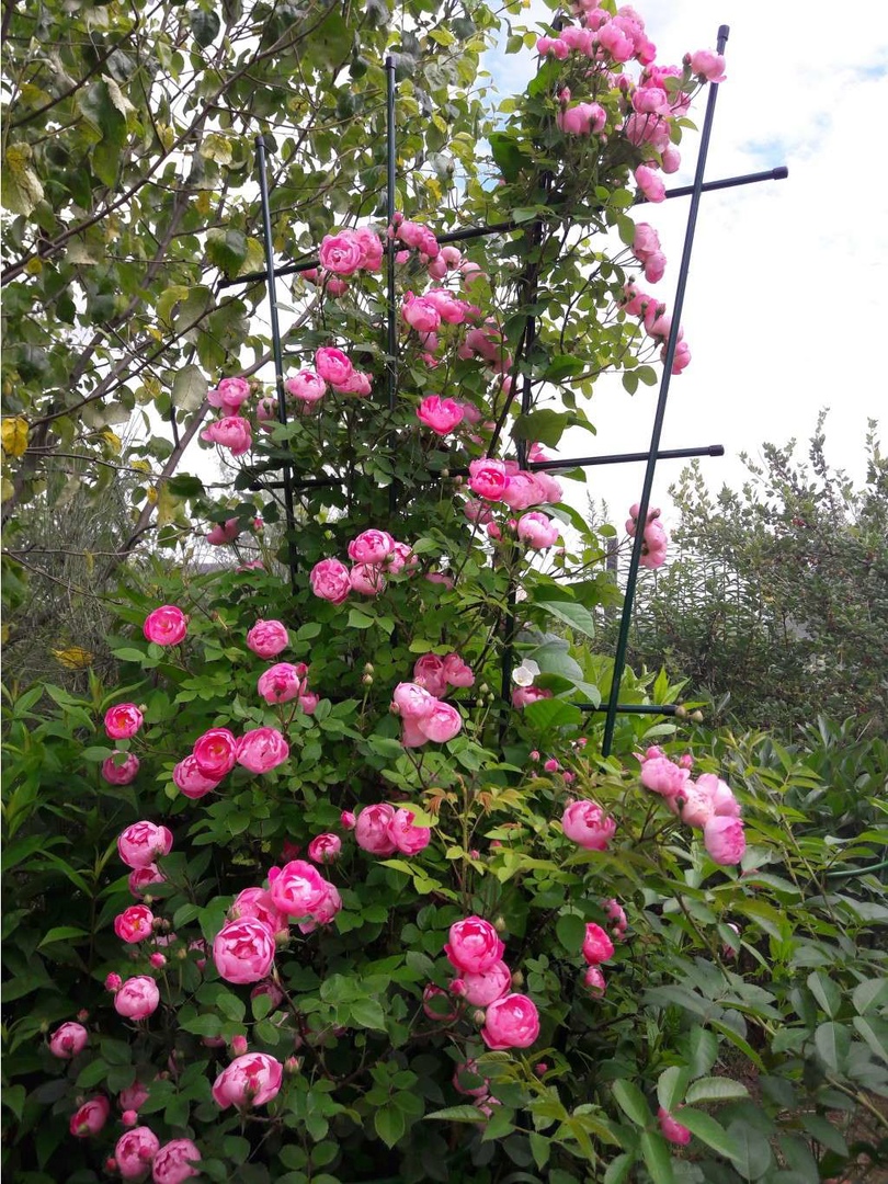 ������ ����!������� � ����� �����!������� � ������� ������� ������������ ���� � ��������� ��� ����� � ���� ��������!����,�������,��������������,����� ��� �������� �������� - �ӣ ��� �� ���ģ�� � ����� �����!