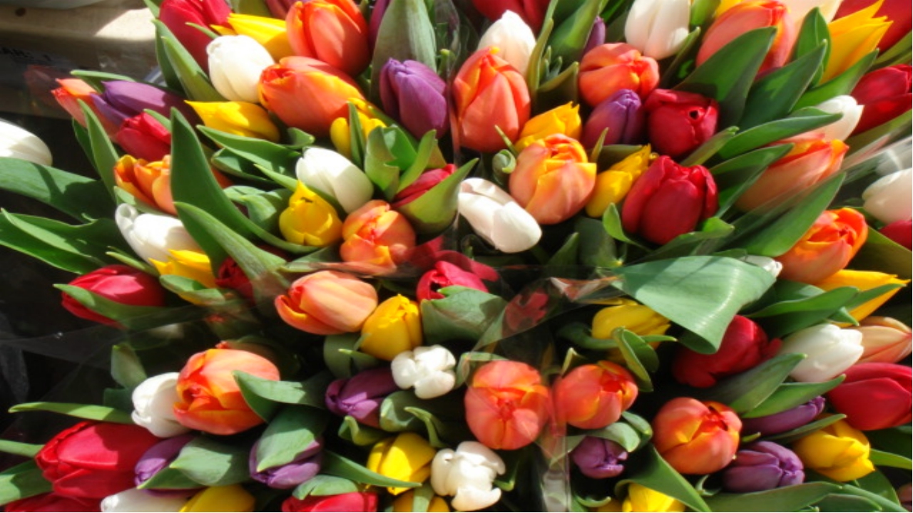 � 8 �����, ����� �������!