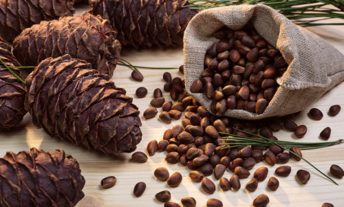  �������, �������, �������� �������� ���� �� ������ (��������� ��������.) ����� ������ ���� �� ��!!! ( �������� ������). �������� �����, ������� ��� � ��������, �������� �����,������� �� �������� ����� � �� ������ ���� ��� ������.