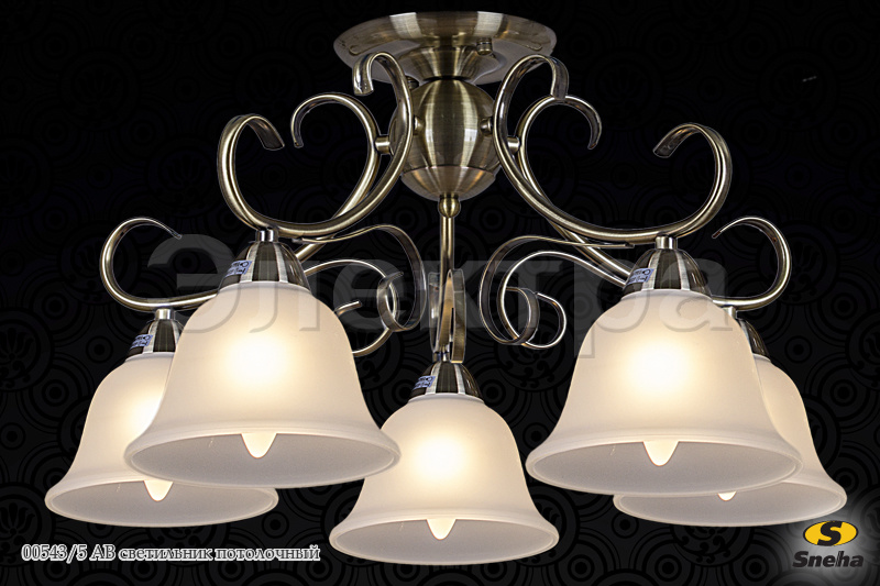 ���� �������. ��������� ������, ������-�������, ���, �����, �����, ��������- ���������� �����������, ���������� �����, ����, ������������ ����� �� Sneh@, Re*luce.�����.����� 6/21.