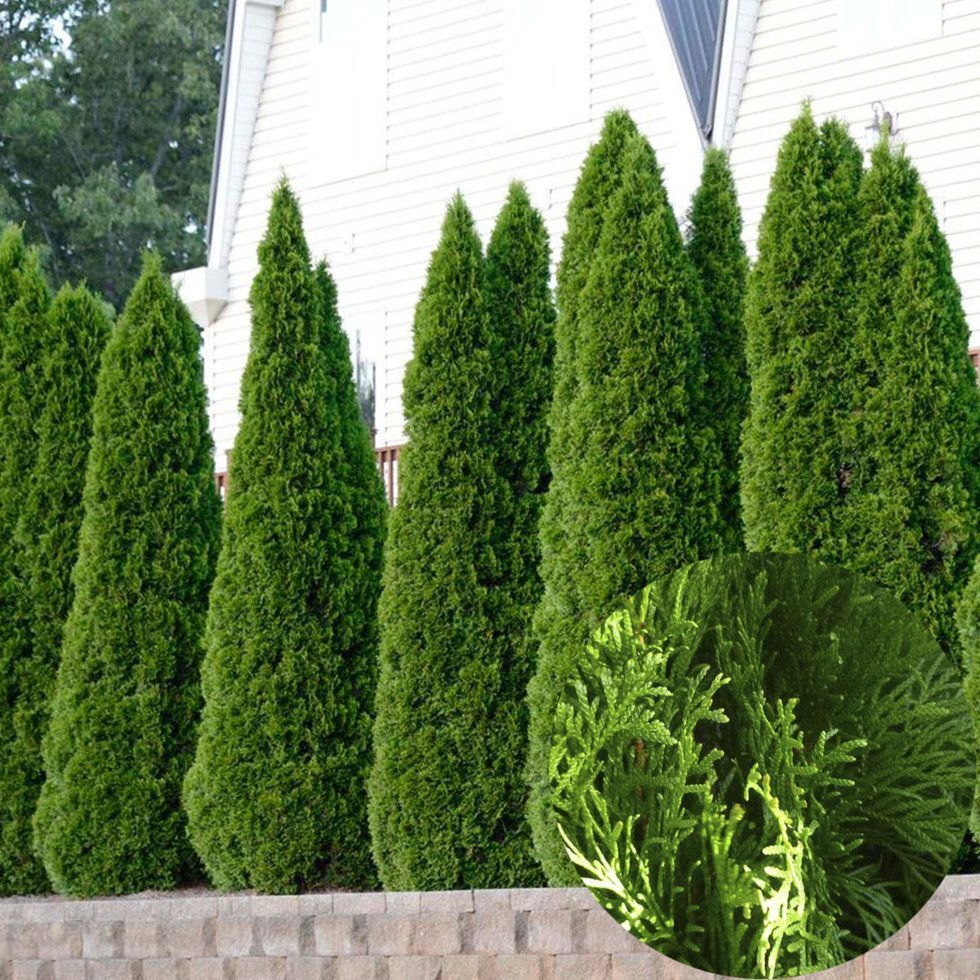 ���������������.��� �������� �� ����� �������� �����! �� �������� ����! ��������� �� �����