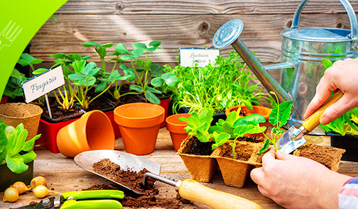 ���� �� 25.03. ����-������� �� ���� � ����! ���� ���! �������, ������ ��� ������, �����, �����������, ���������, ������ ��� �����, �����, �������, ������ ������, ������� �����, ��� ��� ������� � ������ �� �������, ������ ��� ��������������� � ��-4 