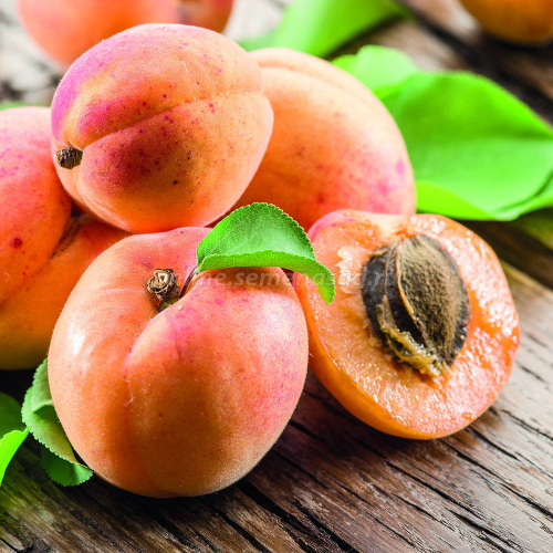 [b]���� ������� �� 16.03 - �������� ������ � �������� ���! - �������� ������� � ����������: ������, �����, ��������, ������, ���������, ������������ ����������, ����, ���������, ����� � ��� �������� ����������� �������� ��� ������ ����![/b]