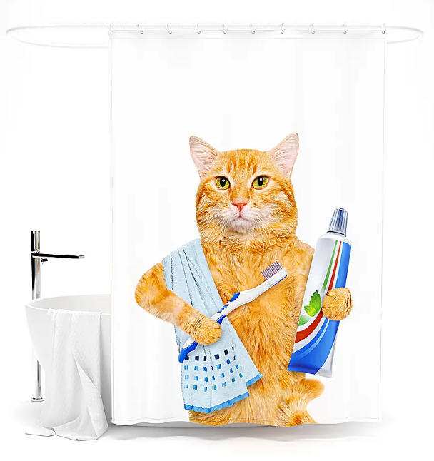 ���������� ��� �����! ��������, ��������, ���������. ����� ��� ������. ������� �����. �������� �����. 