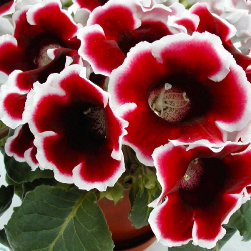 ���������� ����� � ������������ 