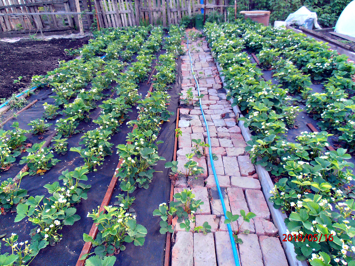 ������� ������� ���������! ���������� � �����!