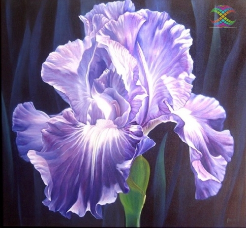 �������� ����! �������� ����� - �������� ����� ��� ���� �����!