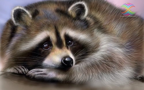 ������������ ����. �������� ���� - �������� � ������ �������� �� �������� � ����������. ���������� �������!