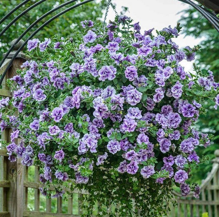 ��������� ���� ������� �� 11.04. ��������. ������� ���������, �����������, ��������. ������. ����������. ������������ ���������� - ���������, �����������, ���������, ��������, � ������� �������. �� ����� ������. ����� 3 (�����) 