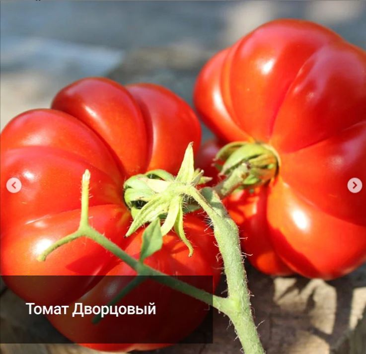 �������, ������, �������� ������ ����� ��������� ������, ��� ����� ���� ������. ���� �� ������ �������������� �������� ����� ������� ����������� �����, � ��� ��� �������� �������� ��� �������� � ��������� ����!