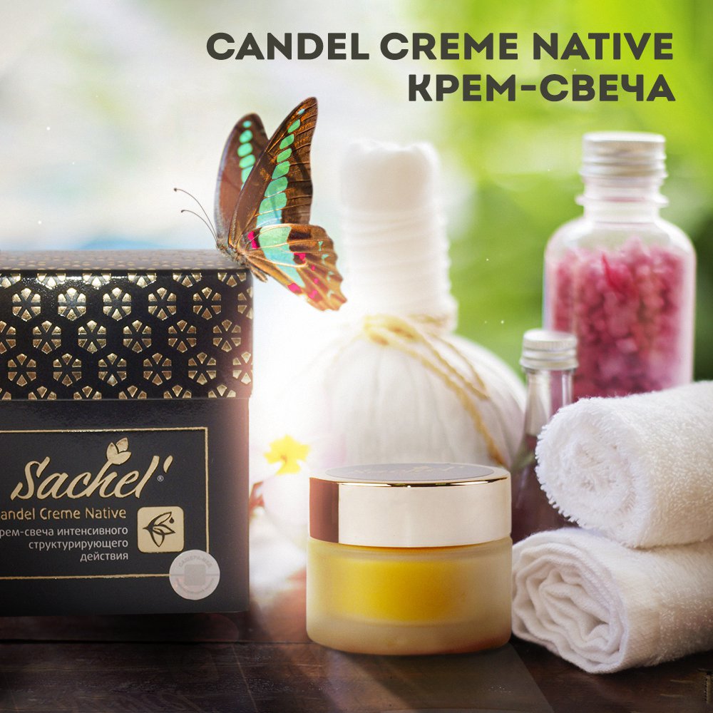 ���� �� 31.03. ��������� ��������. ��������� ������-���. ������������ ����������� �����, �����, �������, ��������, ������� ����������, �������� �����, ������ � �����-��������. �������, ������� � ������� ���������. ����� ��� ������, ��-����