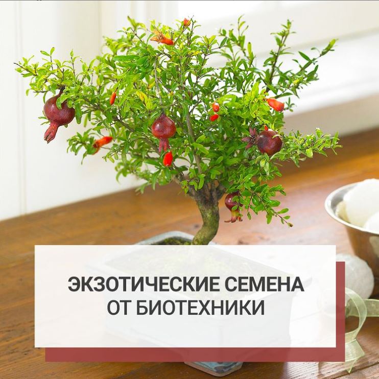 ��������� ������ �� ����������