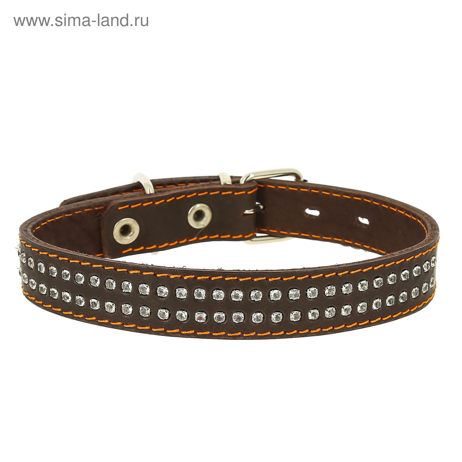 ���� �������. � ������� � ����� �������� - 7. ���������. ���������, �����������, ����������, ������, ������������, ���������, �������������, ������ ��� �������������������� �������� � ������ ������