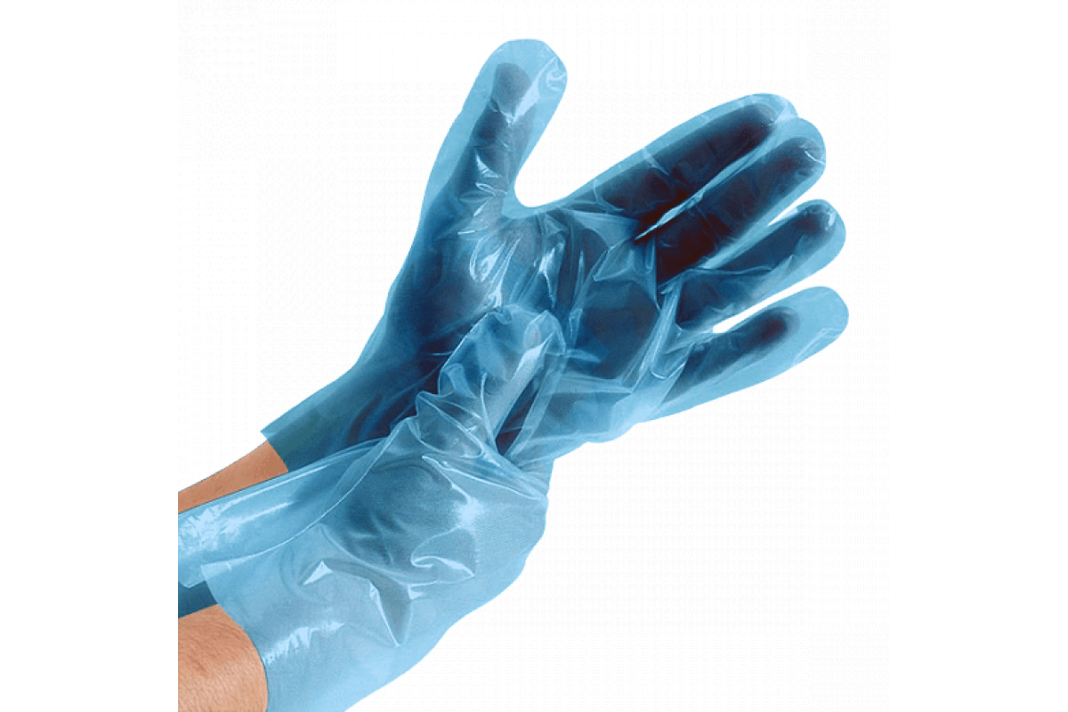 ���� 01.04. ���� �������. ������� ����� �������� ����� 5��� ����. �� 100���, ������ ����, ���� ����