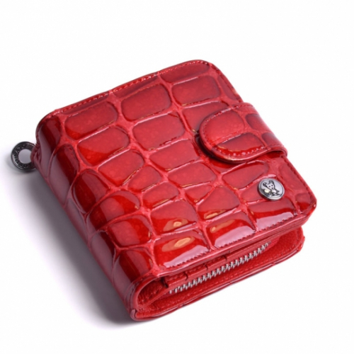 ����??? ��������, �������, ������������ �������� �� ����������� ���� �� L.Doberman, Topo Fortunato. ����� ��������� 2021.