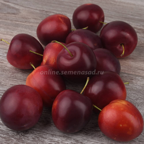 ��� � �������-2. - ����������� ����� - ������� ��������, ������������ � �������� ����������, ����, �����, ���������� !!! - ����� - !!!