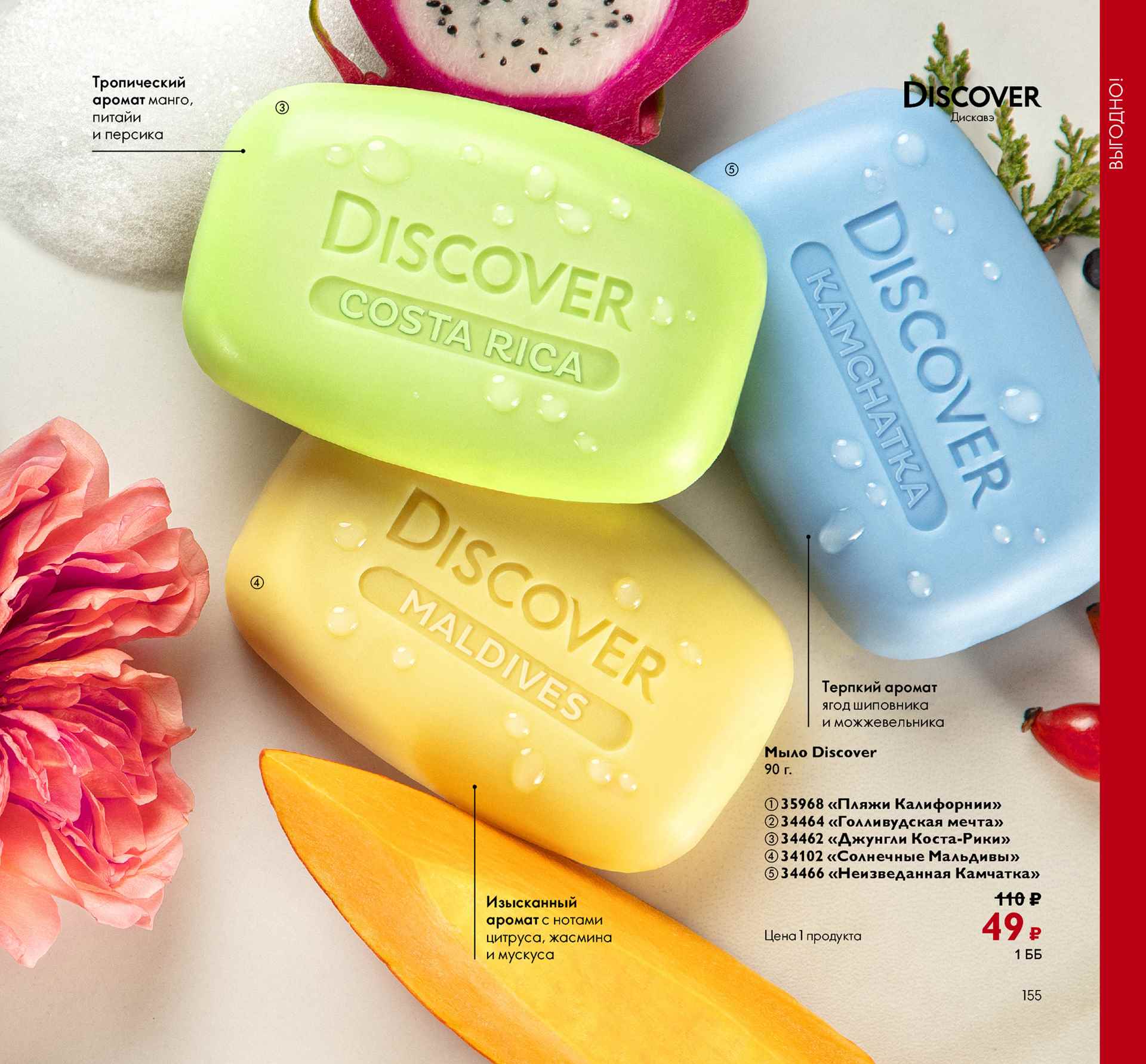 ���� Discover 