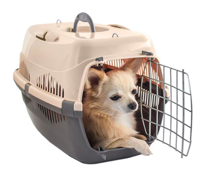 ������ ��� ����� � �����. ������� 28.04.2021