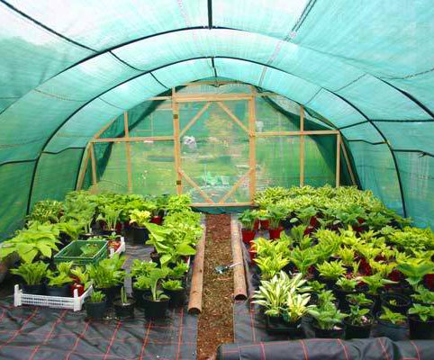 ��������� ��� ������� ����� �� ������� � ��������� ��������. ���������� � �������������� �����, �������� ����� � ����� �� ����, ��������� �����. �����. 3/21