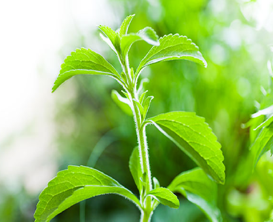 ������! �������� � ������� ���������������� 