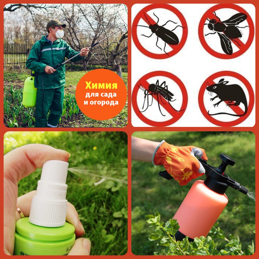 ���� �� 17.04.���� ����:����� ��� ���� � �������. �������� ������ �� ��������� � �������� (��� ����/ ����) �������� ������ �� ������!