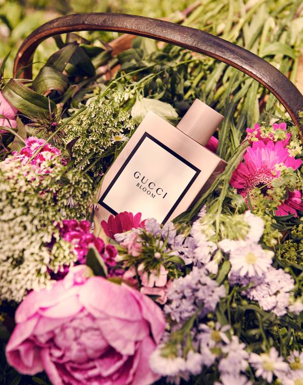 ���� 16.04.���� �������-96. ����� ���. ��������� ���������� � ��������� (����� � �������� ) �� 255� �� 100��, ����,�������� 105�, ��������� 23�, ������� - 775�. ��������� ����� ������� � ����������. ���������, �� ����� ���������