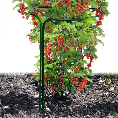 ����������� ���� ��������� � ���� � ������ �����������!������� �������� ����������� ������������ ���������� ���������������, ������� ����� �������� ��������������.��� ������ ������� ���������� ����� ���������� ��� ����� ����������.