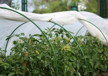 ��������� ������� �� ������ ���������� ��� �������� ����� ����� �����������:�������� ������, ������������,��������� ���������� ����� �� �������,���������� ������� ��� � ������� ���������.