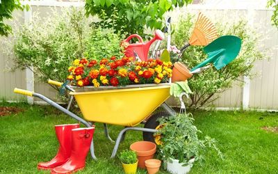 ���� �� 27.04. ��� ��� ���� � ����. ������, �������������, ������, ��������, ��� ��� ������� � ������ � ������ ������-13