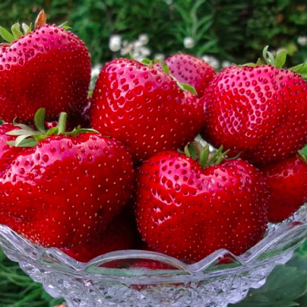 ���� � �����������!��������� ������� ������ (�9) (���������� ������).������������� ���� ���������. ����� ����� ������������ � �������� ����� ������������ �����.����� ������ ���� ����� 100�,������� ��� 40-60 �.���� �����-������� � ������ ��������� ��������