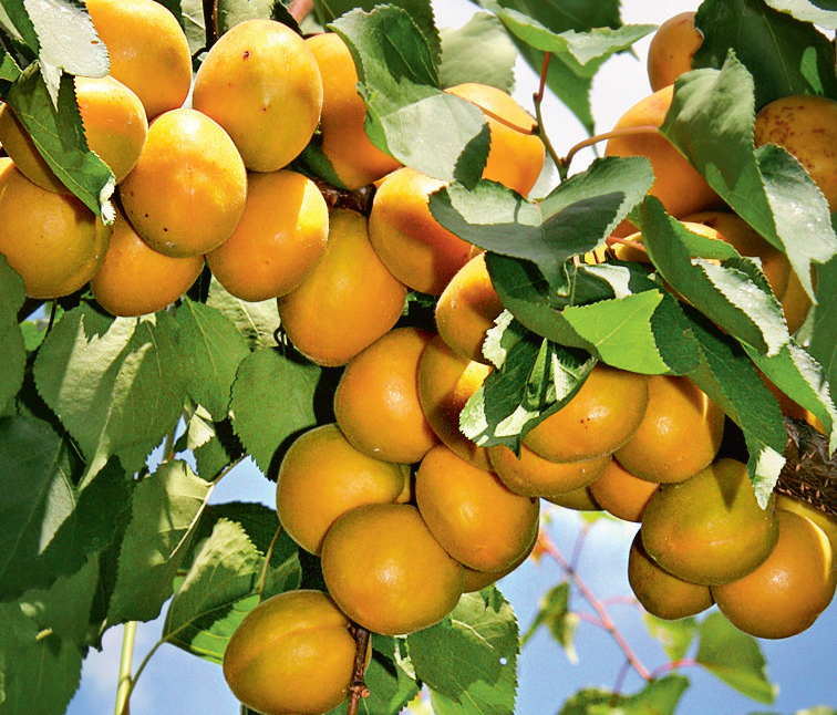 ������� ������� ����!������� ��������: �������, �����,�����,������, �����, �����, �������, ������, ������, ���������, ���������.����� 9/2021. 