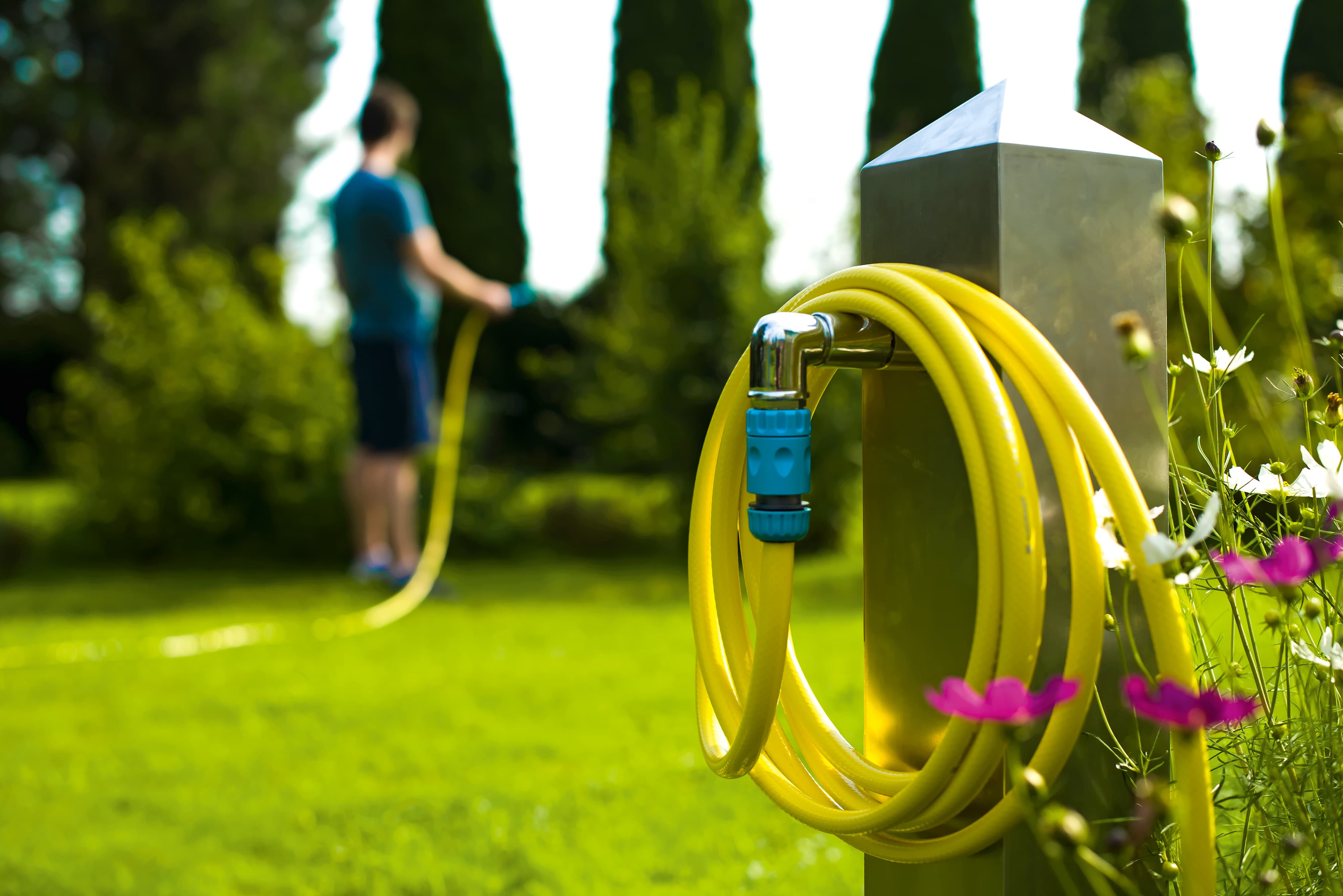 ��� ���� �� ������� �������. �������� �����������.