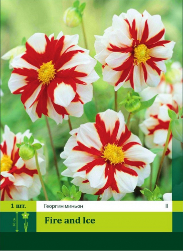 ���������� ����� � ������������