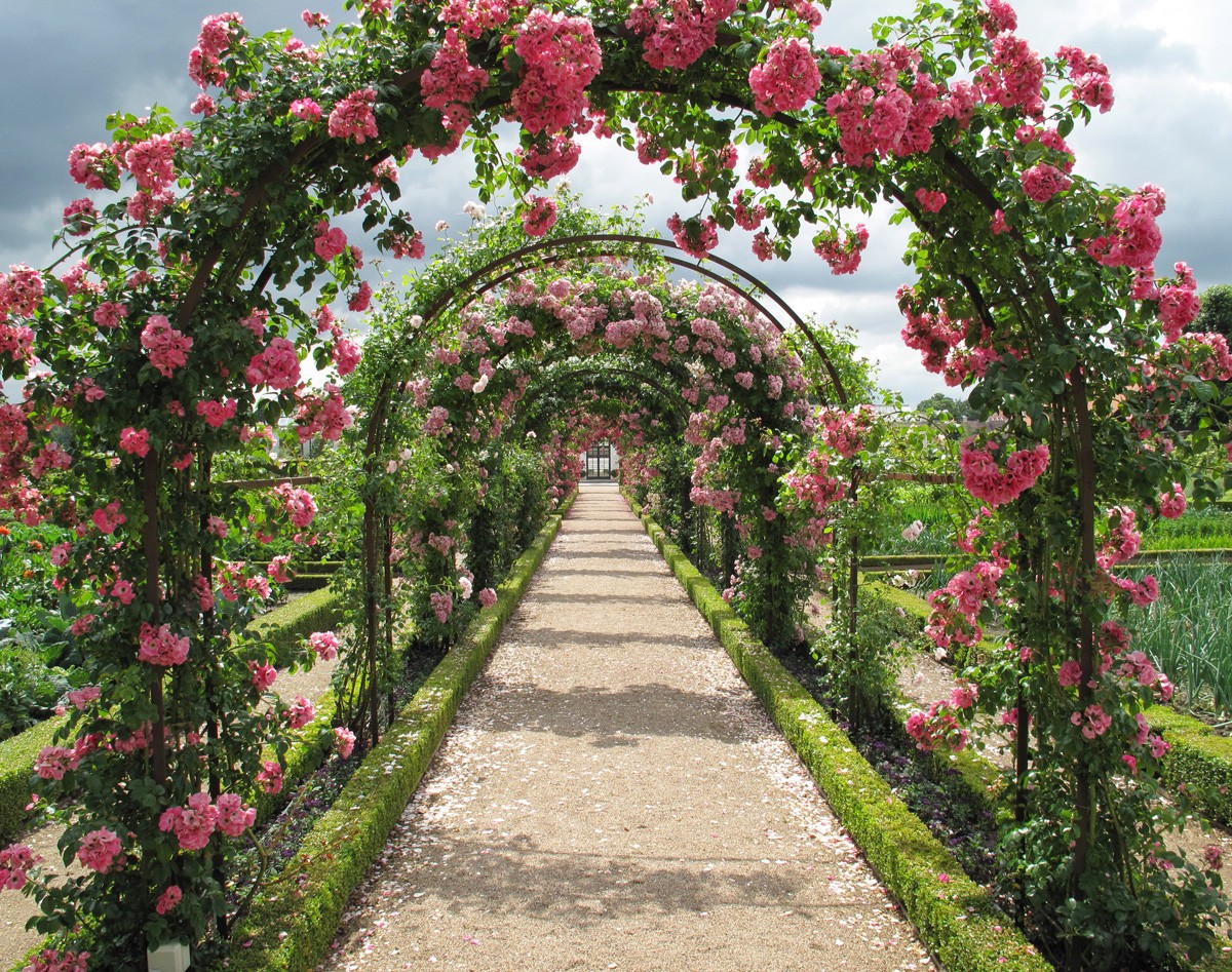 ������� ������:���������� ����, ��������������, �������, ����, ������������ ����������.������� � ������������- ����� ��� �������� � �����������.��������� ����.����� 17 