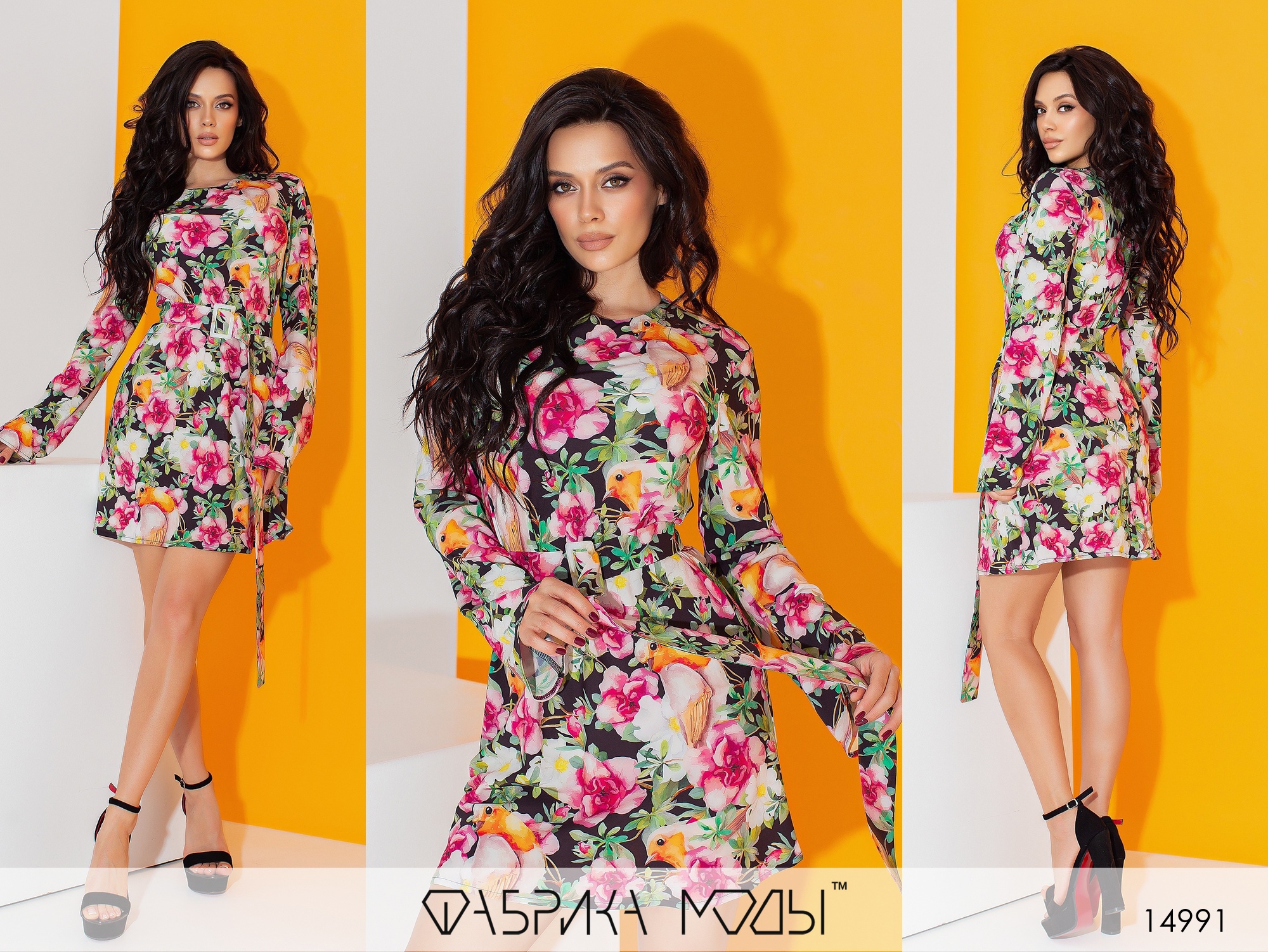  ����� ��������� ����� - ���� � ������� XS+