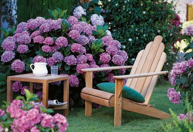 ������� �����������! ����� ���� �ӣ � ���� ������ 1/21