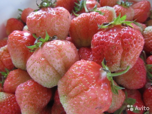 ���� ������� �� 06.05. ��������� 34 (��������, ��������) �� ��������, � ��� �� ������������ ���������� � ������� ����������� ������.