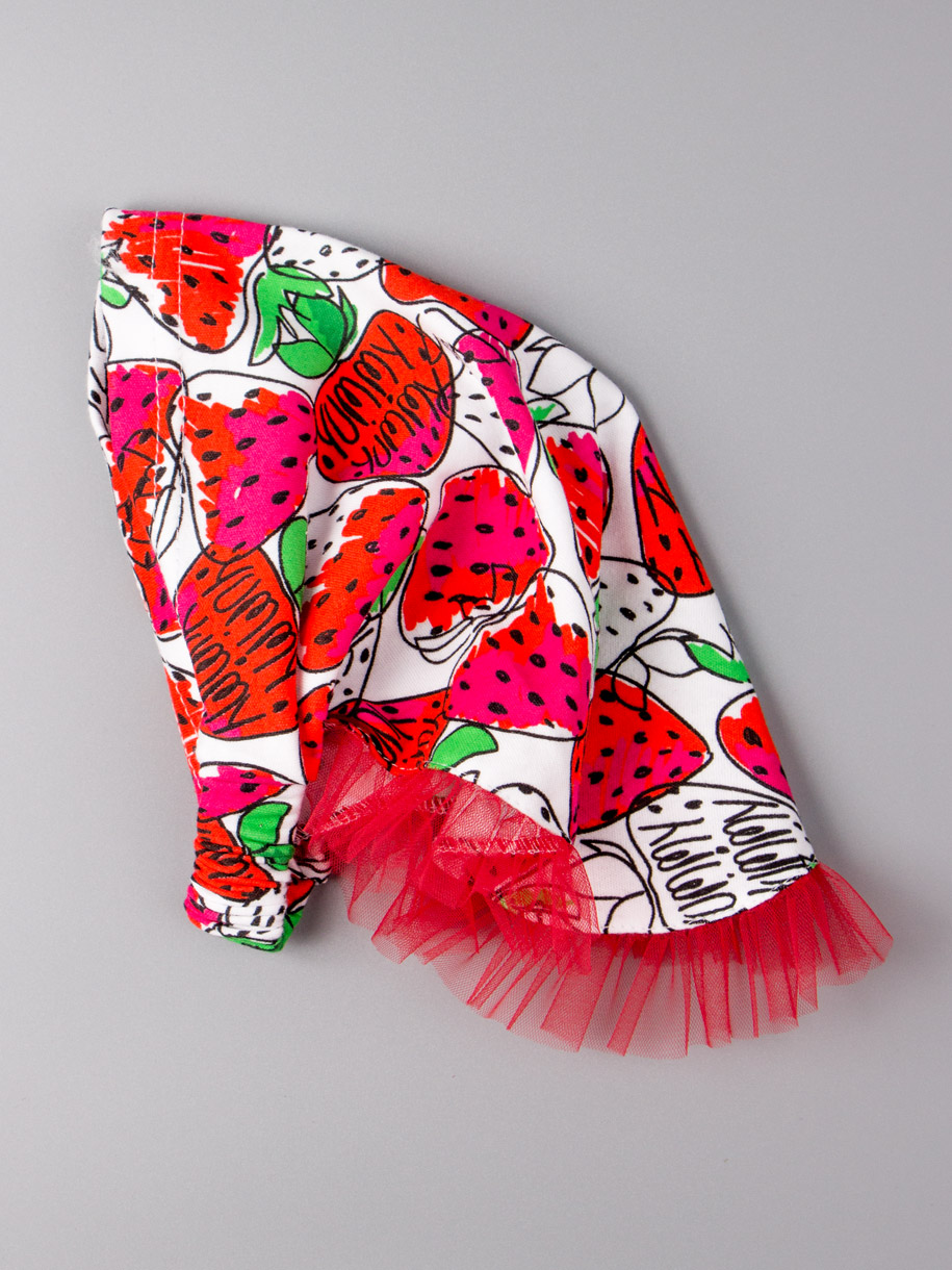 ���� �������. ��������� � ���� .��������- -����������� ����������� �������� � ������ �������� ������ �� ������ ���� ��� ����� �����. ���������� � ��������� ���� .�������  ����� ��� ������, ����� � �������.