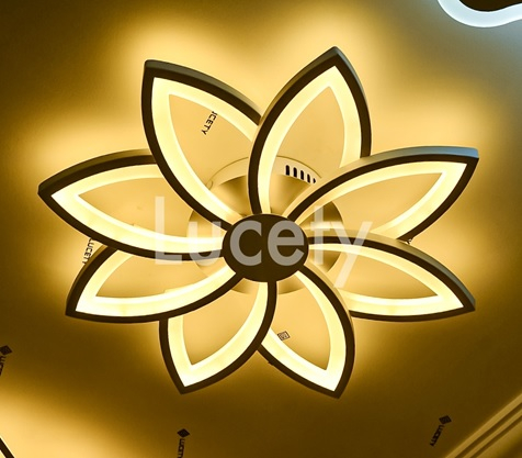 ���� ������� �� 14.05. ���������� ������, �����, �������, ��� �� �������� ���������� "Lam**pa".-25