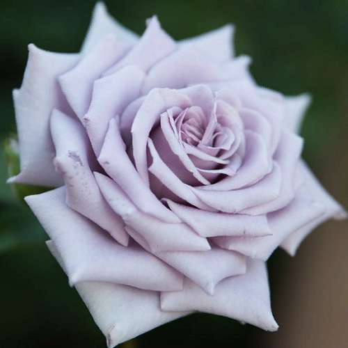 �������� ��� ��������� ����� � ���������� ��������� ���!