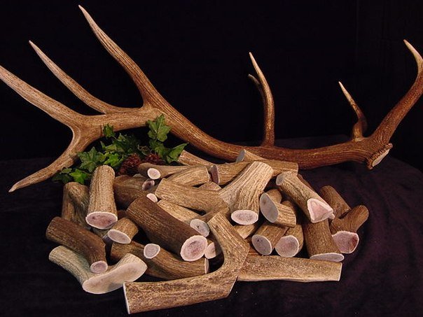 ���� ������� �� 20.05. ������� ��������� ��� ����� - 39! ��������� �����, ���� �����! ���������! ����������!