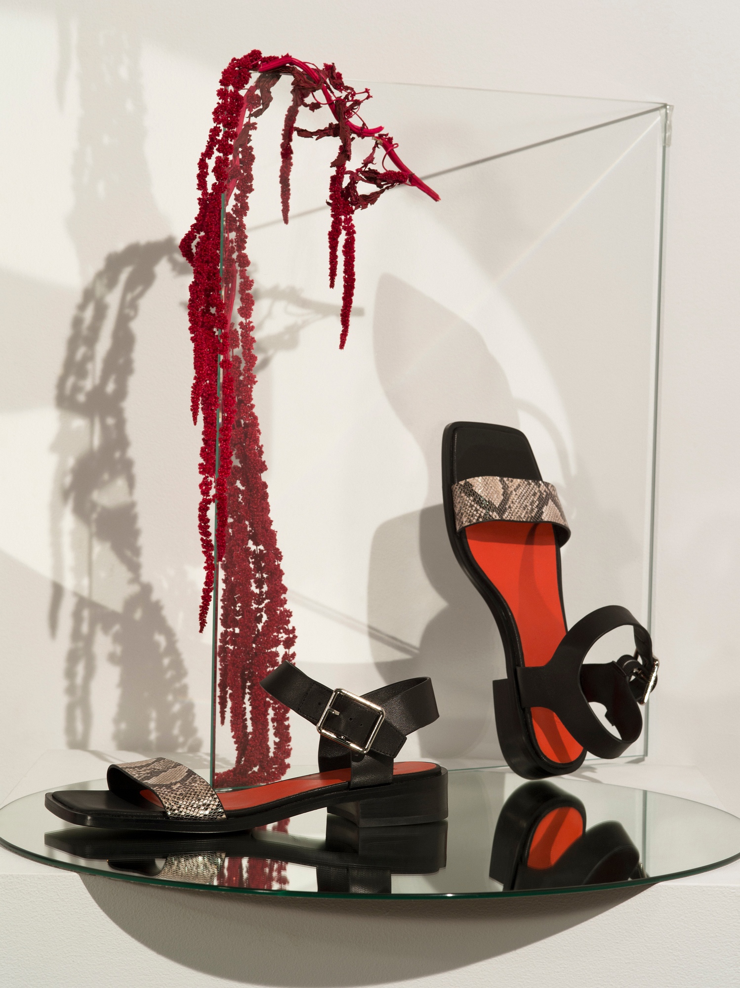 ��������� �������� �� ����. ����� � ����