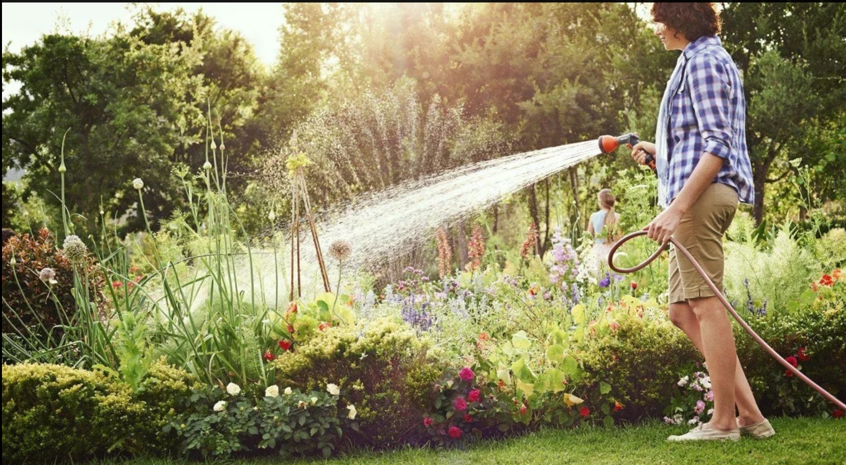 ����� ������� � ������� + ��������.