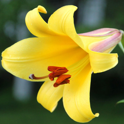 ���������� ����� � ������������