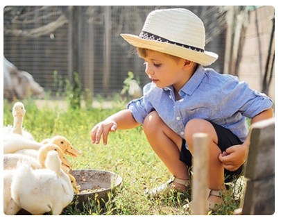 �������� ������� � ��������, �������� ����� � ������ �������� �����!