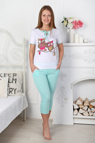 ������ ��������     ������� ����: 480 �